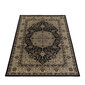 Ayyildiz kilimas Kashmir Black 2608 300x400 cm kaina ir informacija | Kilimai | pigu.lt