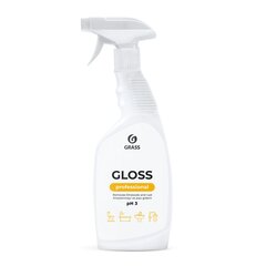 Чистящее средство для сан.узлов 
Gloss Professional,  600 мл.
 цена и информация | Очистители | pigu.lt