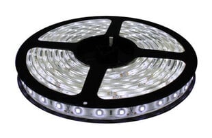 Светодиодная LED лента, 3м CW цена и информация | Светодиодные ленты | pigu.lt