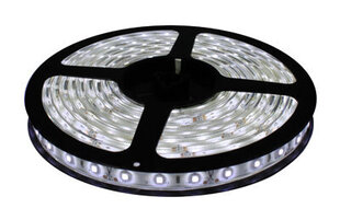 LED juosta 5m CW kaina ir informacija | LED juostos | pigu.lt