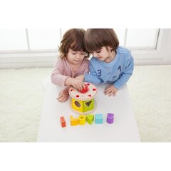 Medinių formų rūšiuoklis Classic World kaina ir informacija | Žaislai kūdikiams | pigu.lt