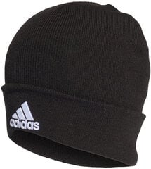Вязаная шапка Adidas Logo Woolie Black цена и информация | Мужские шарфы, шапки, перчатки | pigu.lt