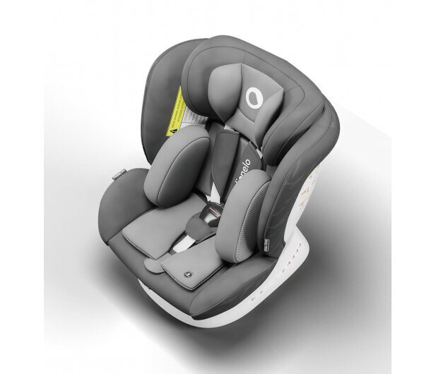 Automobilinė kėdutė Lionelo Bastiaan One Isofix, 0-36 kg, Grey Graphite цена и информация | Autokėdutės | pigu.lt