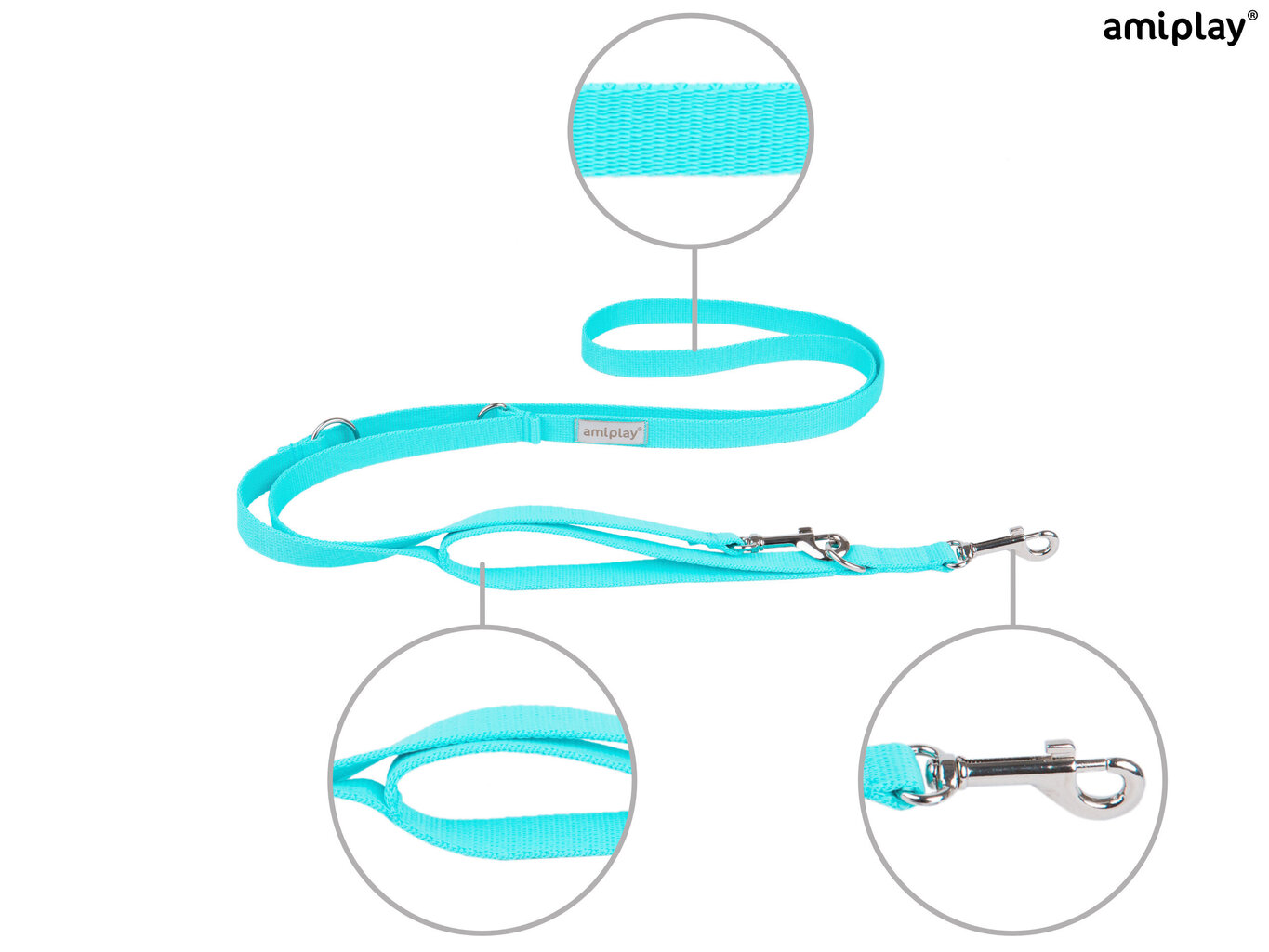 Amiplay reguliuojamas pavadėlis 7 in 1 Samba, XL, Turquoise kaina ir informacija | Pavadėliai šunims | pigu.lt