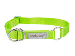 Amiplay pusiau smaugiamas antkaklis Samba, M, Green