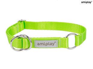 Полуавтоматический ошейник Amiplay Samba, L, Green цена и информация | Ошейники, подтяжки для собак | pigu.lt