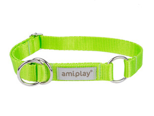 Полуавтоматический ошейник Amiplay Samba, XL, Green цена и информация | Ошейники, подтяжки для собак | pigu.lt