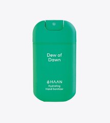 Dezinfekcinis rankų skystis Haan Pocket Dew of Dawn, 30ml kaina ir informacija | Pirmoji pagalba | pigu.lt