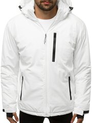 Mужская куртка с капюшоном Stoper цена и информация | Мужские куртки | pigu.lt