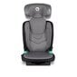 Automobilinė kėdutė Lionelo Neal I-Size Isofix, 15-36 kg, Grey Stone kaina ir informacija | Autokėdutės | pigu.lt