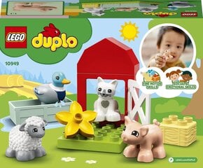 10949 LEGO® DUPLO Town для ухода за животными цена и информация | Конструкторы и кубики | pigu.lt