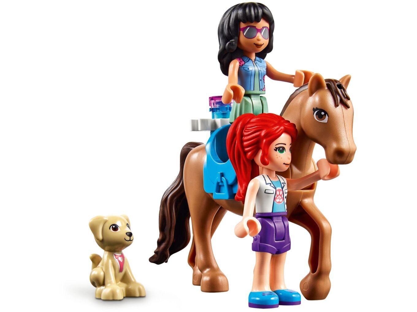 41446 LEGO® Friends Veterinarijos klinika kaina ir informacija | Konstruktoriai ir kaladėlės | pigu.lt