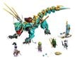 71746 LEGO® NINJAGO Džiunglių drakonas kaina ir informacija | Konstruktoriai ir kaladėlės | pigu.lt