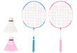 Badmintono rinkinys Atom Sports Giant kaina ir informacija | Badmintonas | pigu.lt