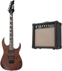 Elektrinė gitara Ibanez GRG121DX kaina ir informacija | Gitaros | pigu.lt