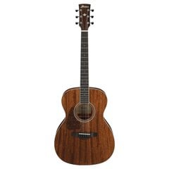 Akustinė gitara Ibanez AC340 kaina ir informacija | Gitaros | pigu.lt