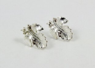 Kabliukai auskarams MD0699, 16x13 mm, 3 poros kaina ir informacija | Papuošalų gamybai, vėrimui | pigu.lt