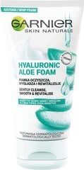 Пенка очищающая для лица Garnier Hyaluronic Aloe, 150 мл цена и информация | Garnier Для ухода за лицом | pigu.lt