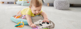 Музыкальная подушка «Ленивец» Fisher Price цена и информация | Игрушки для малышей | pigu.lt