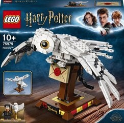 75979 LEGO® Harry Potter™ Pelėda Hedviga kaina ir informacija | 75979 LEGO® Harry Potter™ Pelėda Hedviga | pigu.lt