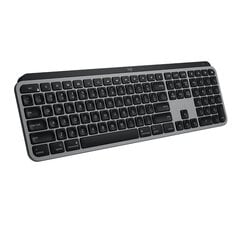 Logitech MX Keys Keyboard Space Grey Nordic цена и информация | Клавиатуры | pigu.lt