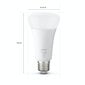 Philips HueW 15.5W A67 E27 1P (100W equivalent) kaina ir informacija | Elektros lemputės | pigu.lt