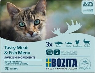 Bozita Cat Multibox su mėsa ir žuvimi, 12x85 g kaina ir informacija | Konservai katėms | pigu.lt