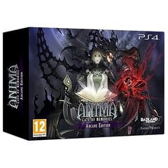 PS4 Anima: Gate of Memories Arcane Edition цена и информация | Компьютерные игры | pigu.lt