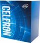 Intel Celeron G5925 kaina ir informacija | Procesoriai (CPU) | pigu.lt