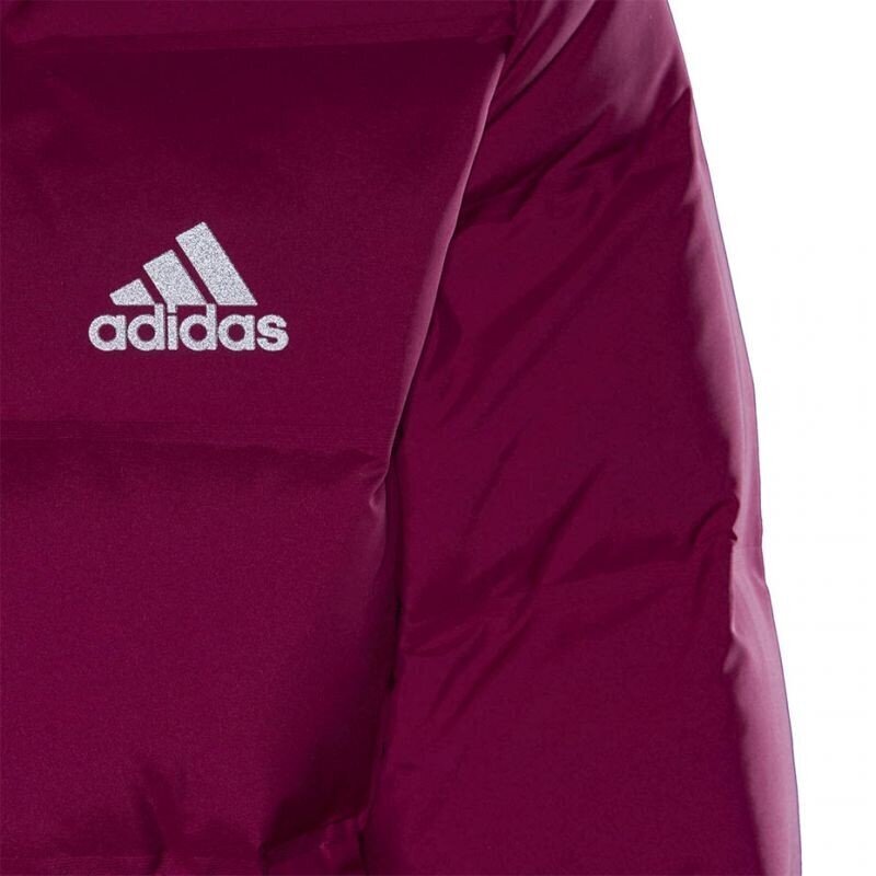 Striukė moterims Adidas Helionic Down Hooded W GM5345 74721 kaina ir informacija | Striukės moterims | pigu.lt