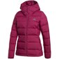 Striukė moterims Adidas Helionic Down Hooded W GM5345 74721 kaina ir informacija | Striukės moterims | pigu.lt