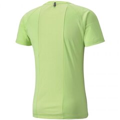 Спортивная футболка для мужчин Puma Rtg Tee Sharp M 581504 34, зеленая цена и информация | Мужские термобрюки, темно-синие, SMA61007 | pigu.lt