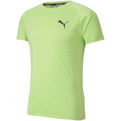 Спортивная футболка для мужчин Puma Rtg Tee Sharp M 581504 34, зеленая цена и информация | Мужская спортивная одежда | pigu.lt