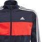 Sportinis kostiumas berniukams Adidas Tiberio Jr GN3972 74743 kaina ir informacija | Komplektai berniukams | pigu.lt