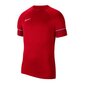Nike vyriški sportiniai marškinėliai Dri-FIT Academy 21 M CW6101-657, raudoni kaina ir informacija | Sportinė apranga vyrams | pigu.lt
