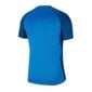 Sportiniai marškinėliai vyrams Nike Dri-Fit Strike II M CW3544-463 (75828), mėlyni цена и информация | Sportinė apranga vyrams | pigu.lt