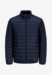 Plona vyriška striukė Jack&Jones Jjeeric, mėlyna цена и информация | Мужские куртки | pigu.lt