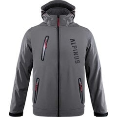 Куртка мужская Alpinus Denali серая M BR43386 76393 цена и информация | Мужские куртки | pigu.lt