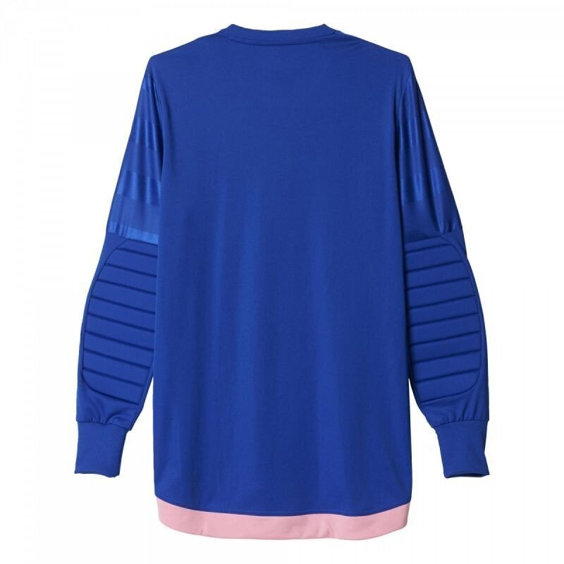 Džemperis mergaitėms Adidas ENTRY 15 GK M AP0325 76532 kaina ir informacija | Megztiniai, bluzonai, švarkai mergaitėms | pigu.lt
