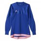 Džemperis mergaitėms Adidas ENTRY 15 GK M AP0325 76532 цена и информация | Megztiniai, bluzonai, švarkai mergaitėms | pigu.lt