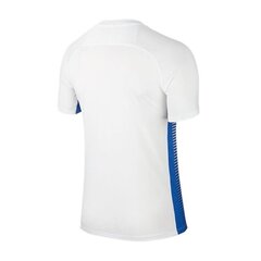 Sportiniai marškinėliai vyrams Nike Precision IV M 832975-101, mėlyni цена и информация | Мужская спортивная одежда | pigu.lt