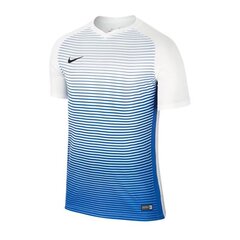 Sportiniai marškinėliai vyrams Nike Precision IV M 832975-101, mėlyni цена и информация | Мужская спортивная одежда | pigu.lt