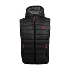 Жилет для мужчин Alpinus Athos Body Warmer M BR43351 76554 цена и информация | Мужские жилетки | pigu.lt