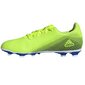 Futbolo bateliai Adidas X Ghosted 4 FxG M FW6953 76658 цена и информация | Futbolo bateliai | pigu.lt