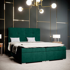 Кровать Selsey Bongiorno 140x200 см, зеленая цена и информация | Кровати | pigu.lt