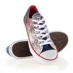 Sportiniai batai vaikams Converse Chuck Taylor All Star Jr 647644C kaina ir informacija | Converse Batai vaikams ir kūdikiams | pigu.lt