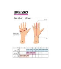 Беговые лыжные перчатки Skigo X-Skin Thermo, синие цена и информация | Другие товары для равнинного катания | pigu.lt