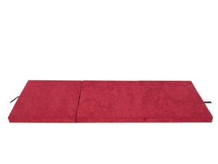 Складной матрас Hobbygarden Ben L, 180x65 см, красный цена и информация | Матрасы | pigu.lt
