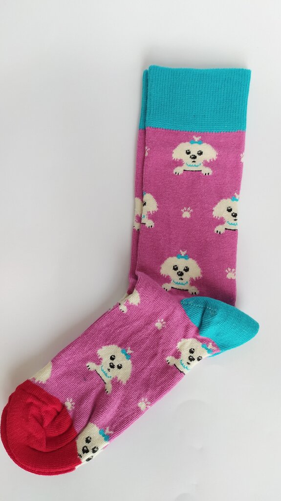 Kojinės moterims Soho Mood šuniukas kaina ir informacija | Moteriškos kojinės | pigu.lt
