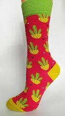 Kojinės moterims Soho Mood kaktusas kaina ir informacija | Moteriškos kojinės | pigu.lt